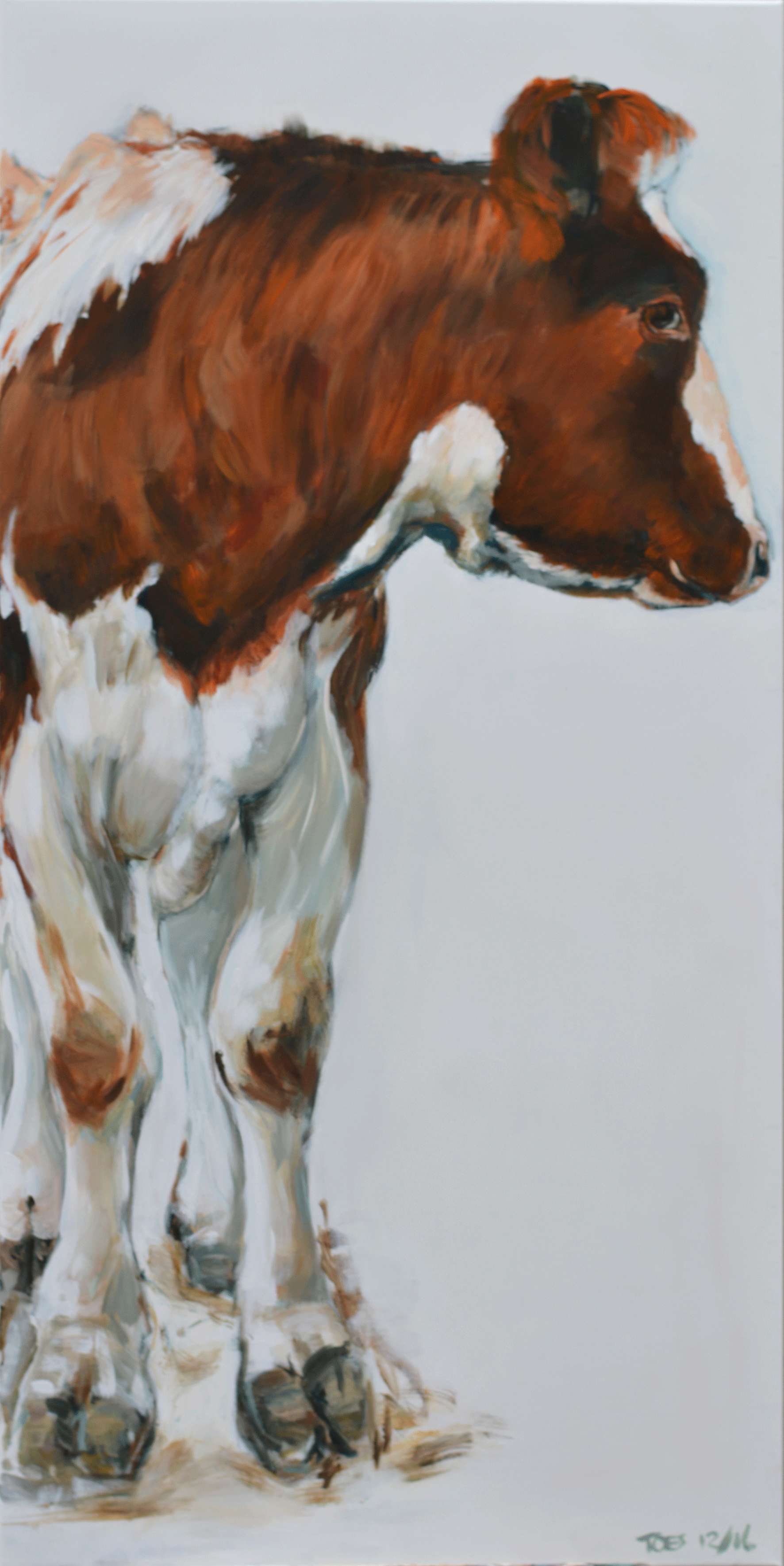 kalf-roodbont-2-70-x-140-verkocht-