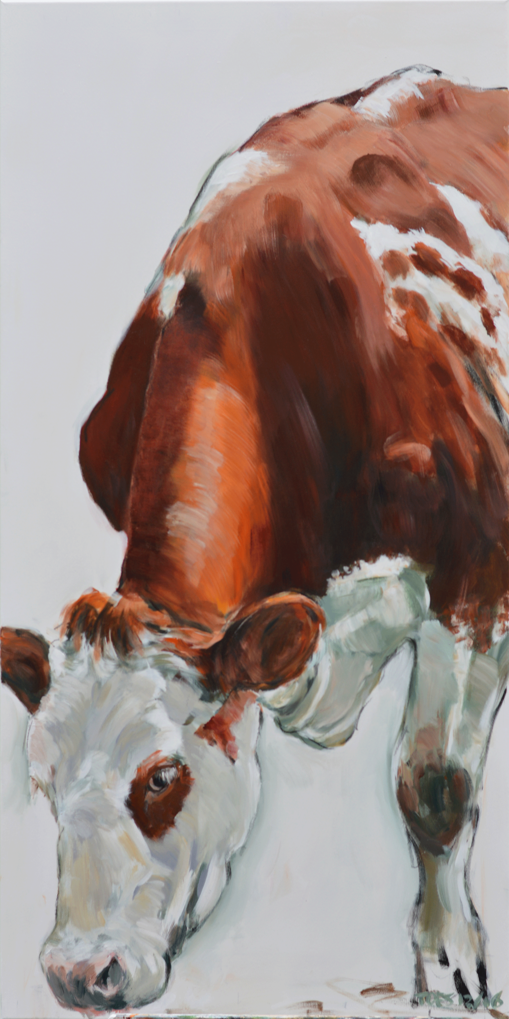 koe-roodbont-1-70-x-140-verkocht