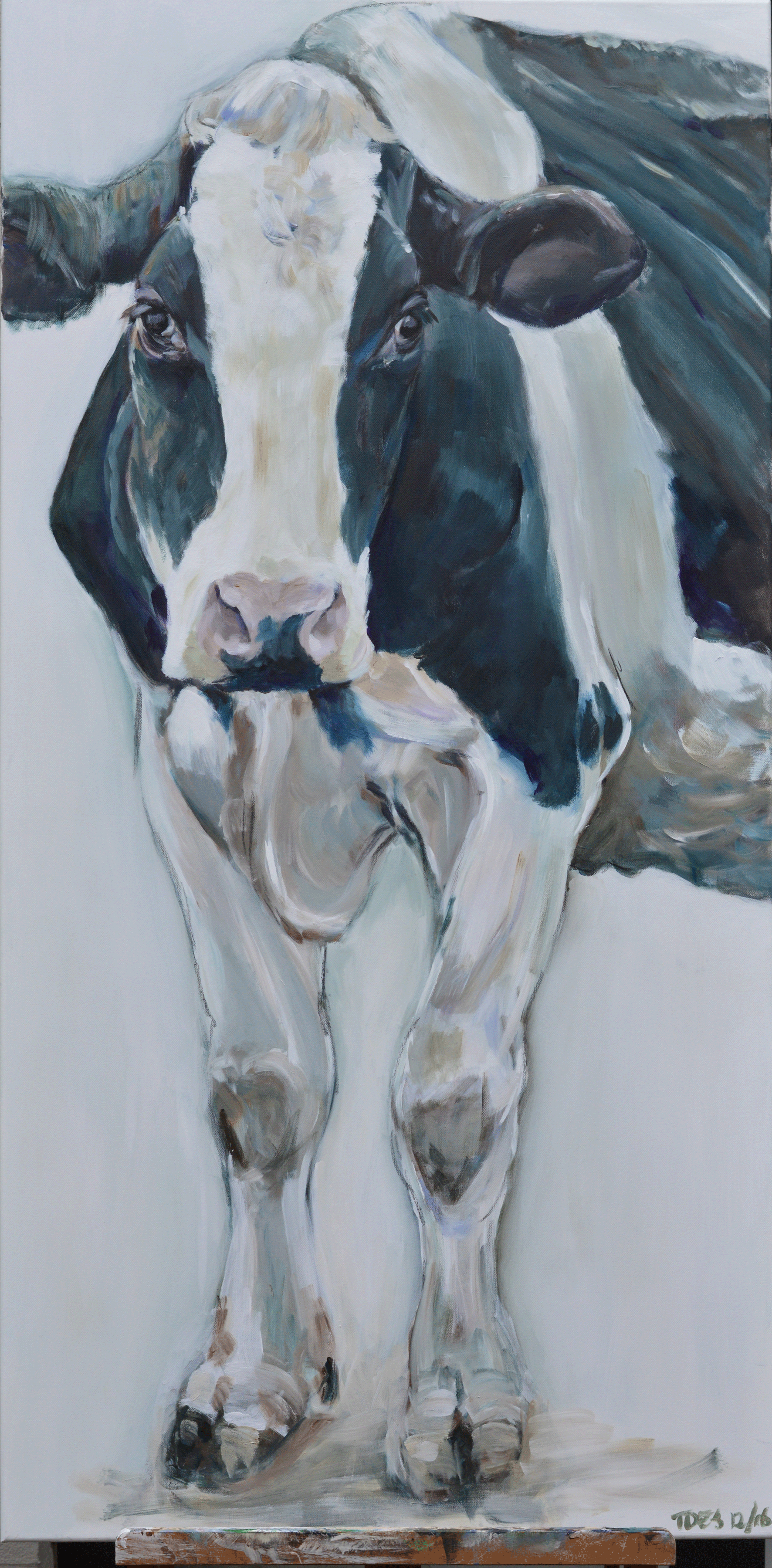 koe-zwartbont-1-70x140-verkocht